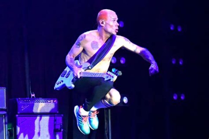 Flea Shows Off His New Bear Tattoo And Explains The Deep Meaning Behind It