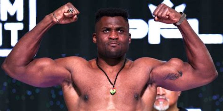 Francis Ngannou is a well know name in MMA world due to his outstanding performance which helped him to earn a net worth of $500,000.