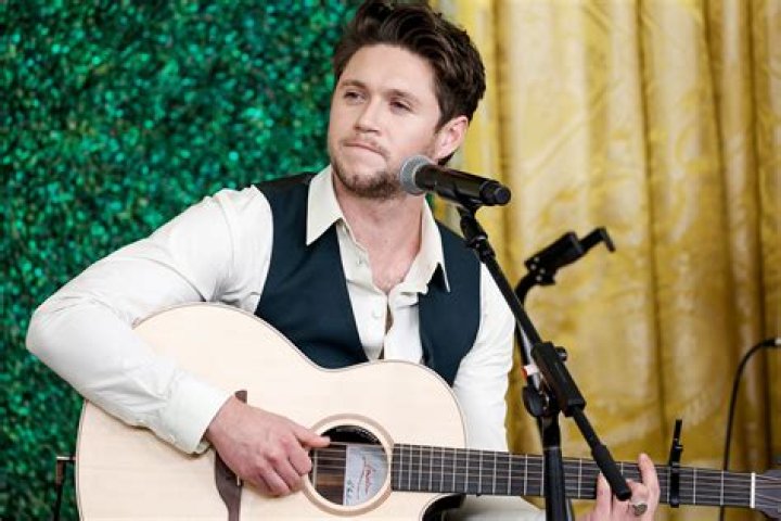 Niall Horan Debuts His Poignant “Too Much To Ask” Music Video – Celeb Secrets